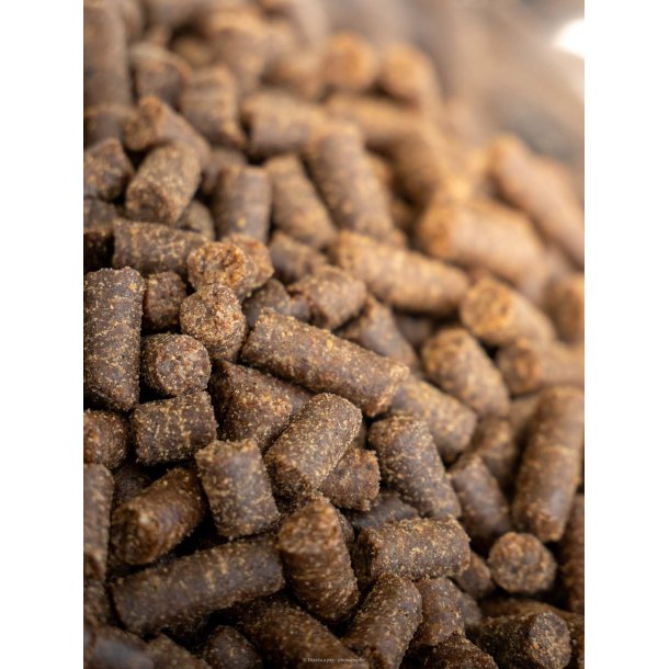 BOHEMIA COLD LINE hvalpefoder med Lam 10 kg  