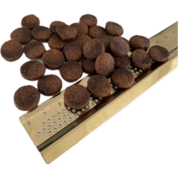 BOHEMIA WILD LINE Adult hundefoder med Kalkun 2 kg