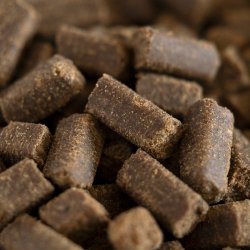 BOHEMIA COLD LINE Adult hundefoder med Hest 10 kg 