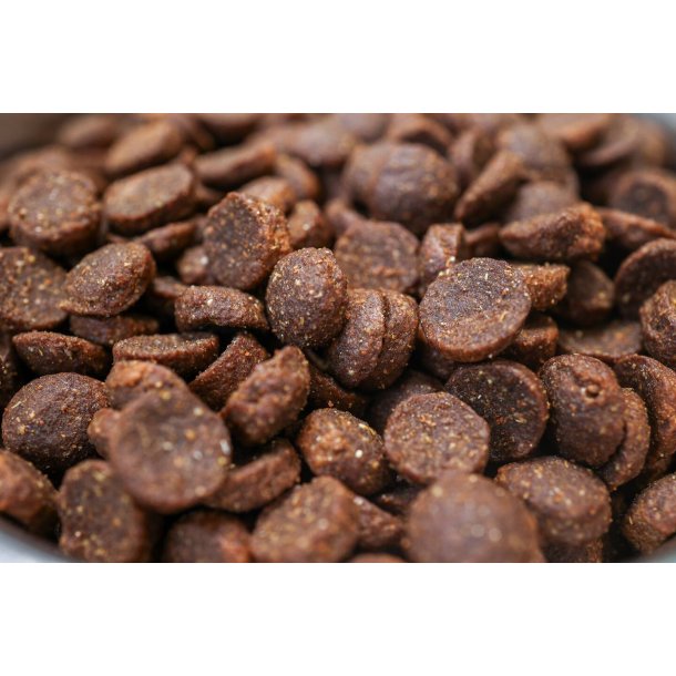 BOHEMIA WILD LINE Adult hundefoder med Amerikansk Bison 10 kg 