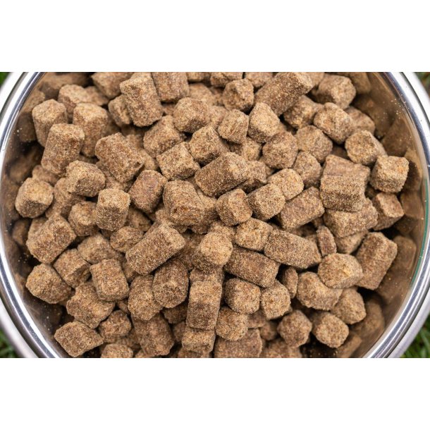 BOHEMIA COLD LINE Adult hundefoder med Bison 10 kg