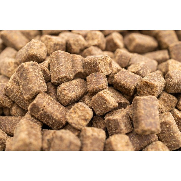 BOHEMIA COLD LINE Adult hundefoder med Vagtel 10 kg