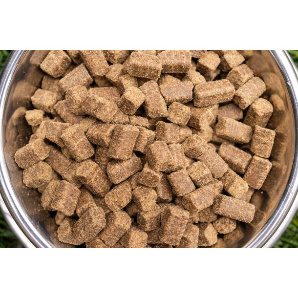 BOHEMIA COLD LINE Adult hundefoder med Vagtel 10 kg