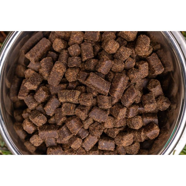 BOHEMIA COLD LINE  Adult hundefoder med Kalkun 10 kg 