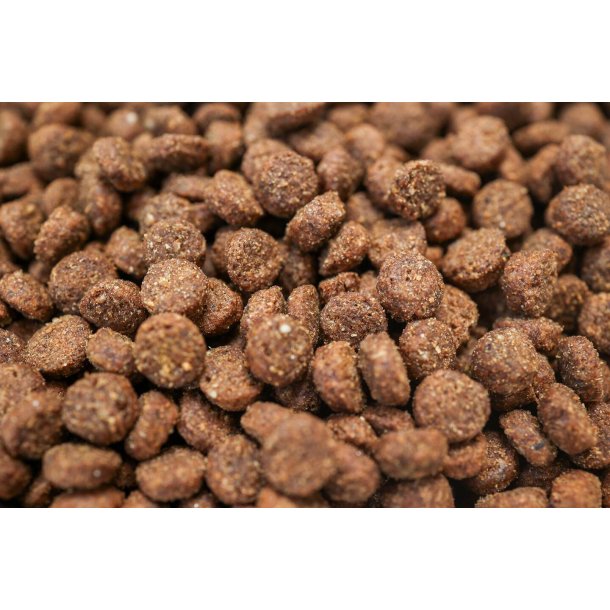 BOHEMIA WILD LINE hvalpefoder med Lam 10kg