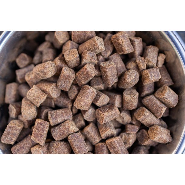 BOHEMIA COLD LINE Adult hundefoder med Fisk 10 kg