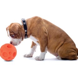 Omega Paw Tricky Treet Ball - Aktivitetsbold  12cm