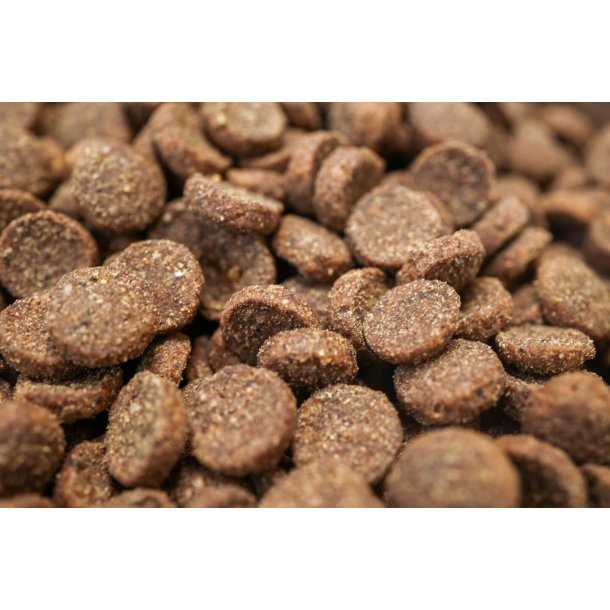 BOHEMIA WILD LINE Adult hundefoder med Hjort 10 kg 