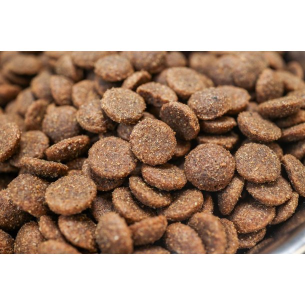 BOHEMIA WILD LINE Adult hundefoder med Ged 10 kg 